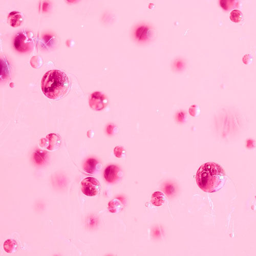 Ανακάλυψε την δύναμη του PDRN